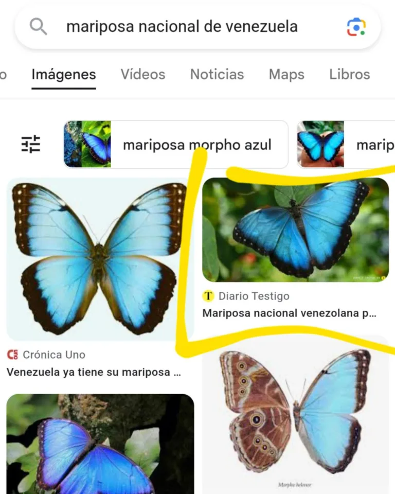 Diario Testigo | Portafolio de Redactor SEO | Portfolio Copywriter SEO